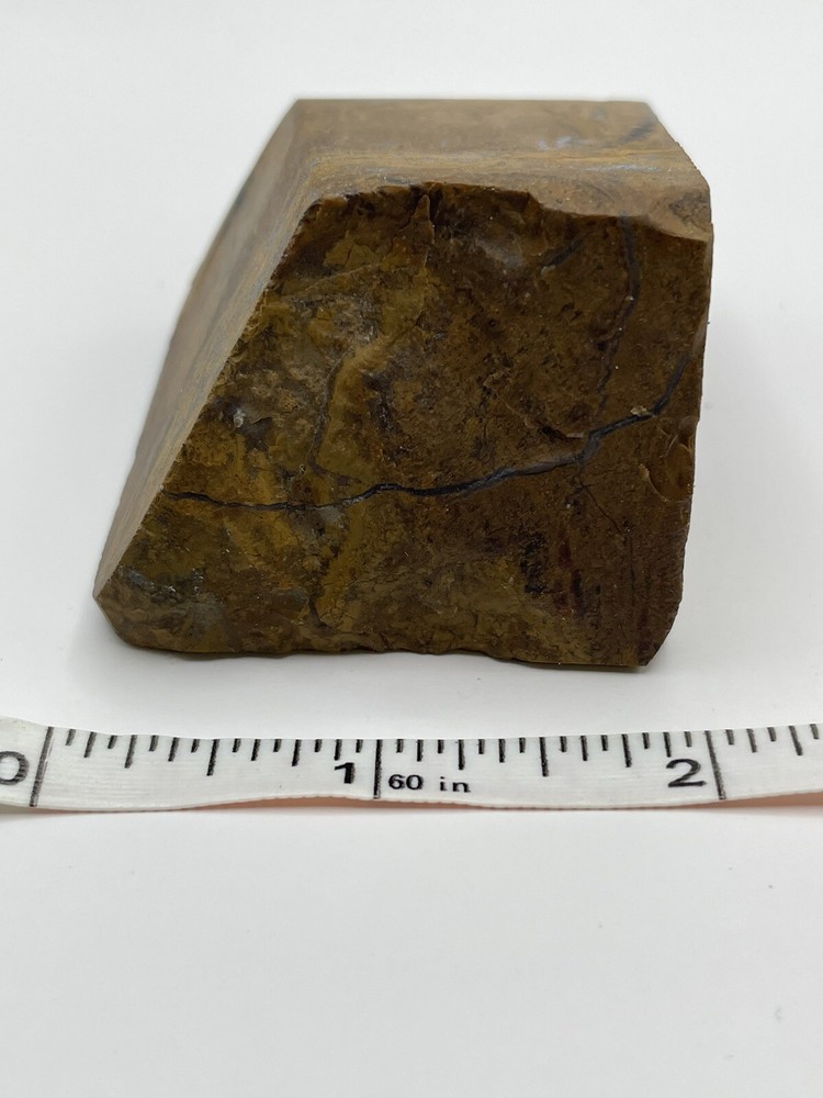 Petrified wood