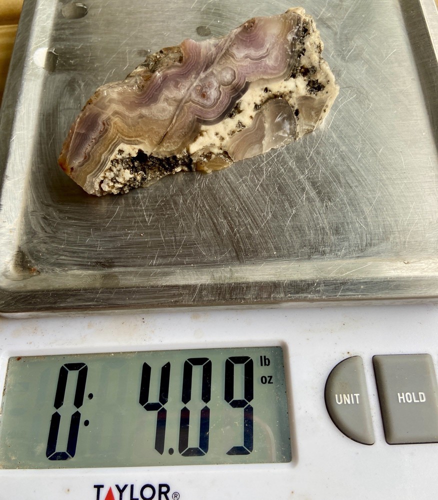 Aztec Crazy Lace Agate Large Rough 4 Oz