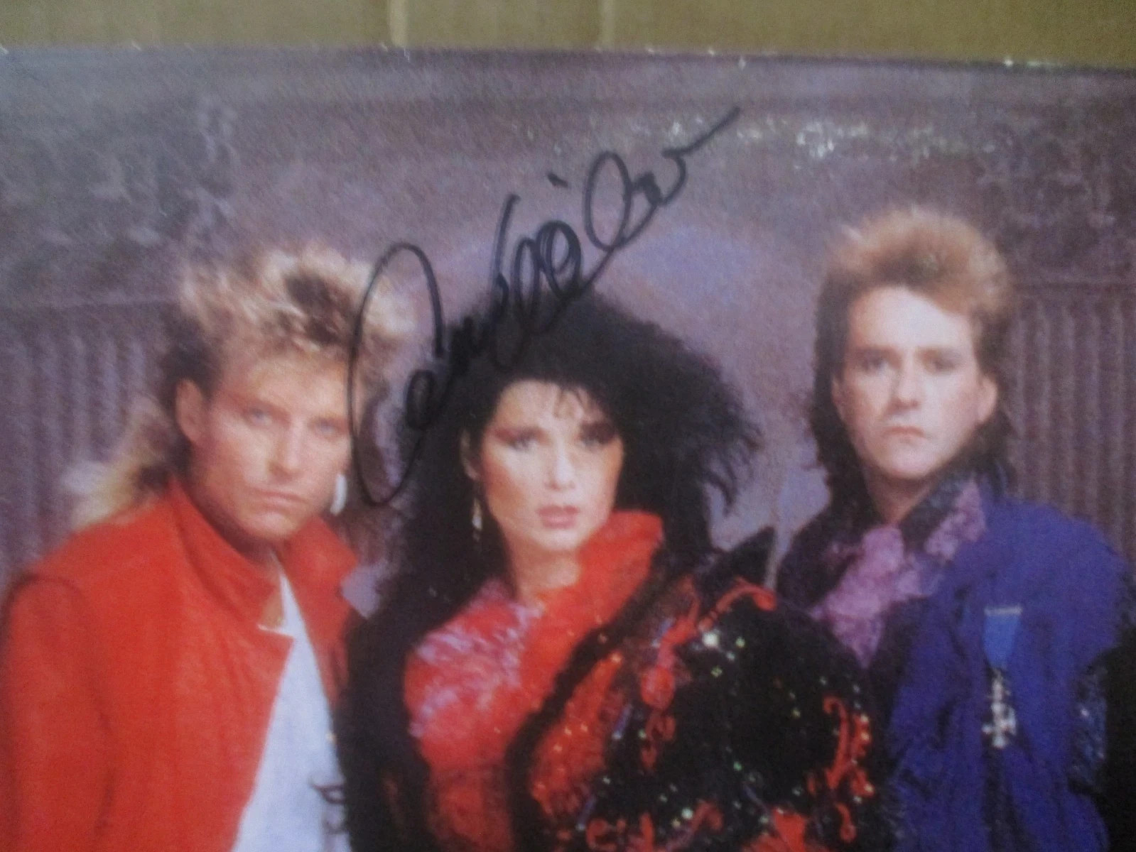 HEART JSA CERTIFIED AUTHENTIC AUTOGRAPHED/SIGNED HEART ALBUM ANN & NANCY WILSON