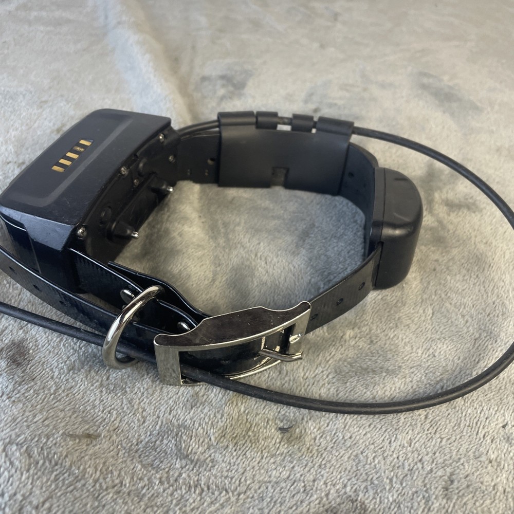 Garmin TT15 GPS Dog Tracking Collar