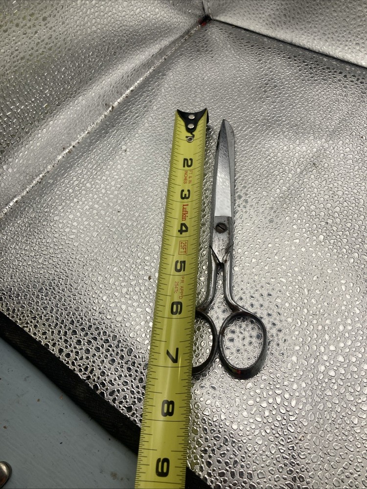 Wasa Solingen Scissors