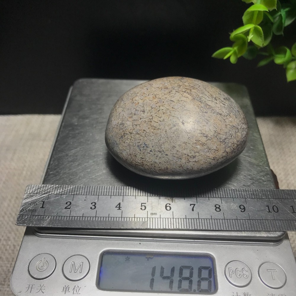 148g polished dinosaur bone specimen Madagascar 10