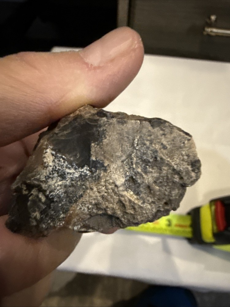 Quality Petrified Wood, Small Piece Nice Looking Small Item
