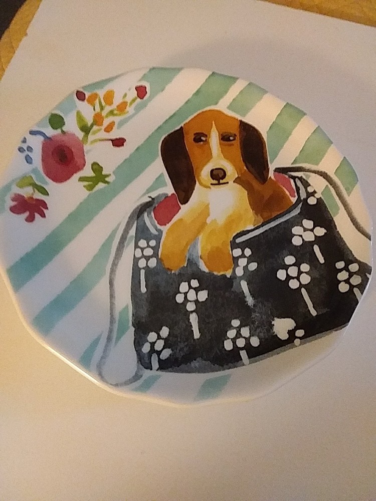 Pier 1 Dolemite Ceramic Plate