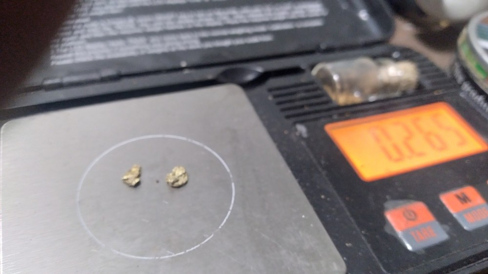 Gold Nuggets