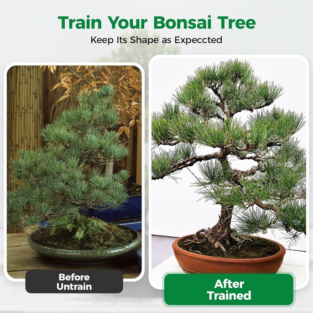 Bonsai Wire (Color, 189FT)