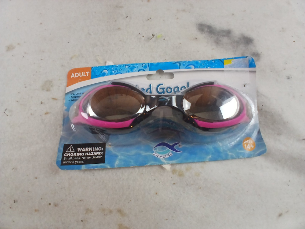 Swing Goggles Tinted Adult