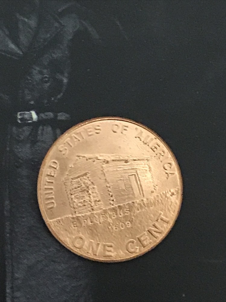 2009 D Lincoln Log Cabin Penny (RD) - RARE