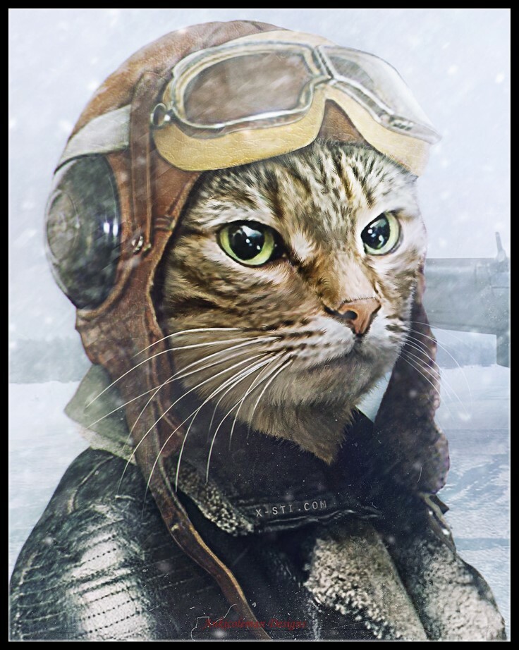 Cat-Pilot - DIY Chart Counted Cross Stitch Patterns Needlework DMC Color 14 ct