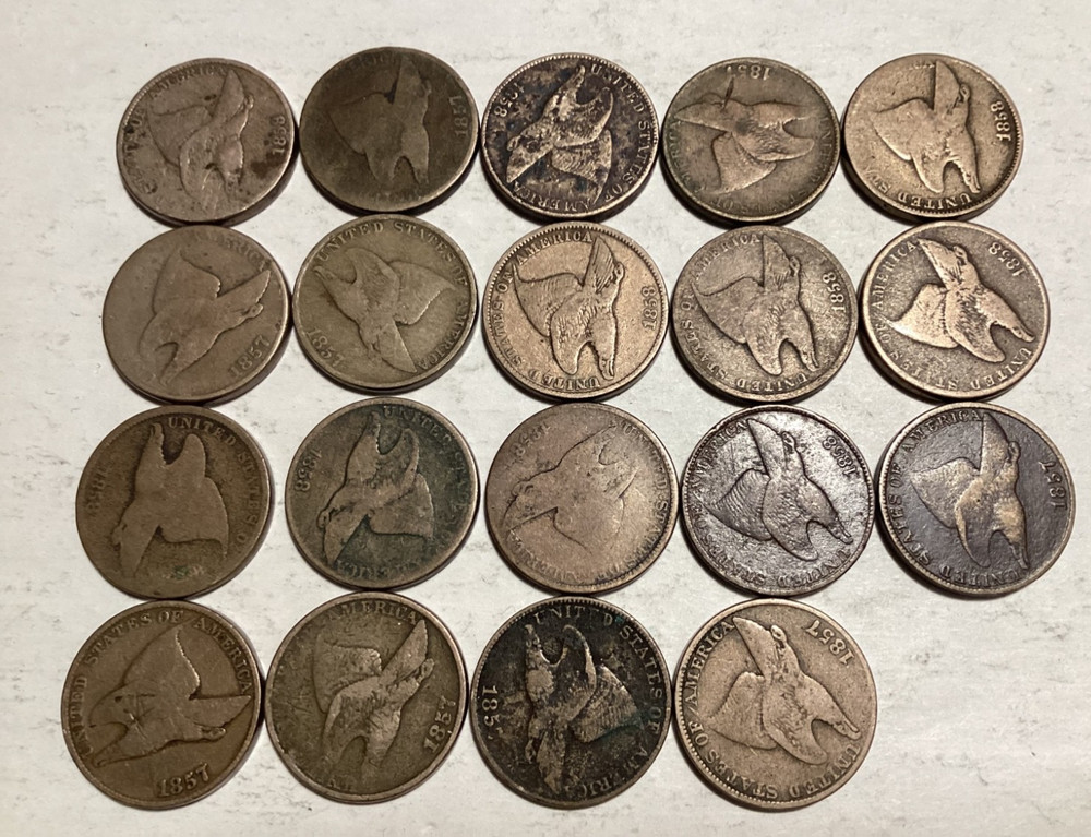 19 Flying Eagle Cents Mixed Dates -A196
