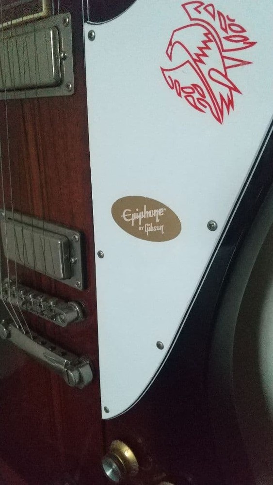 Epiphone Firebird Safe Packing!