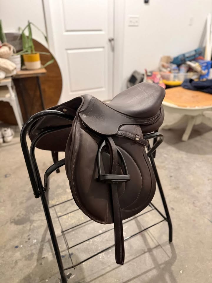 Antarès Evolution-D Custom Jump Saddle – Buffalo Leather – Excellent Condition