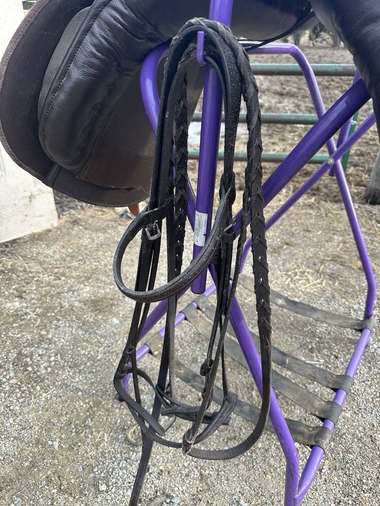 16” English Saddle Tough One