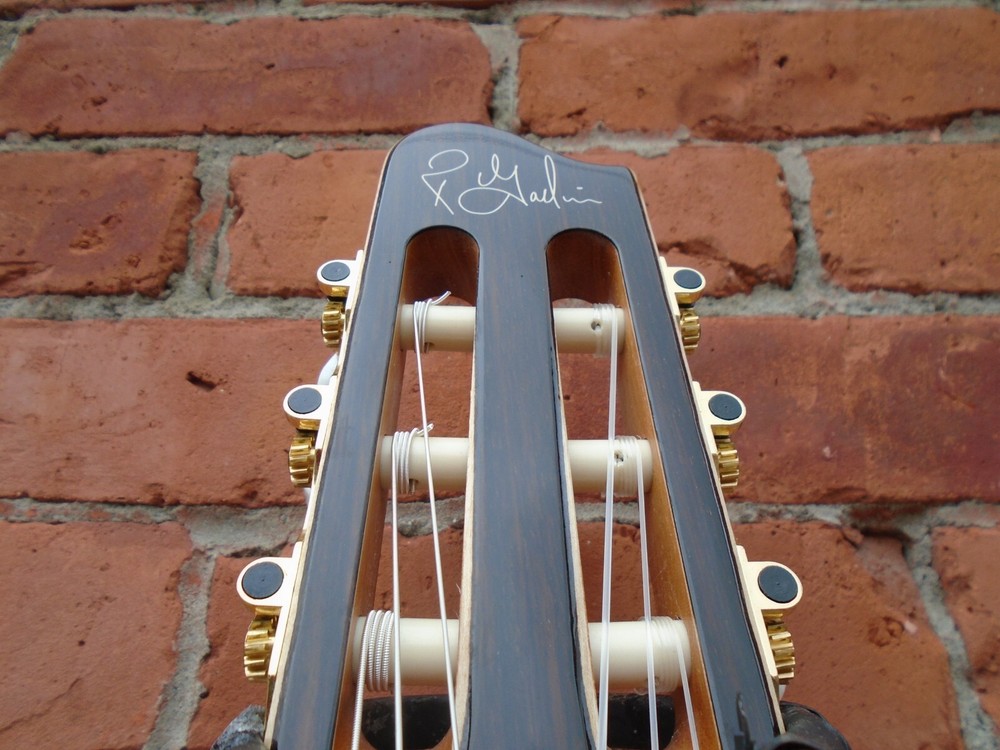 Godin Concert Classical Guitar SF