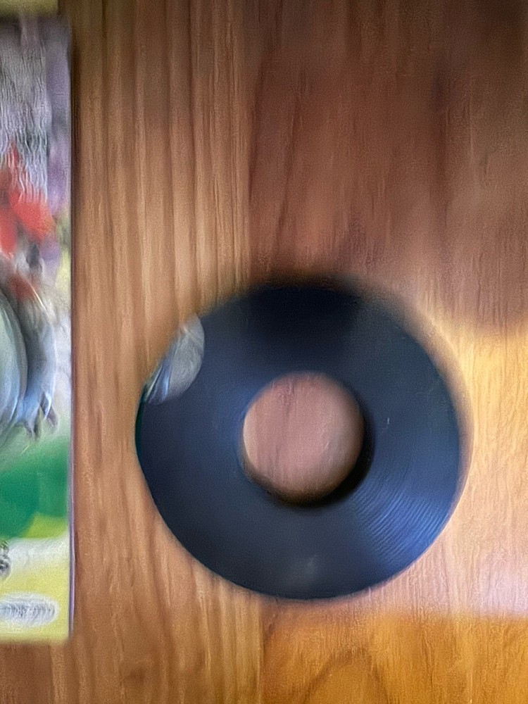 Great Value !! Spring Seed Planting /Tool Kit.