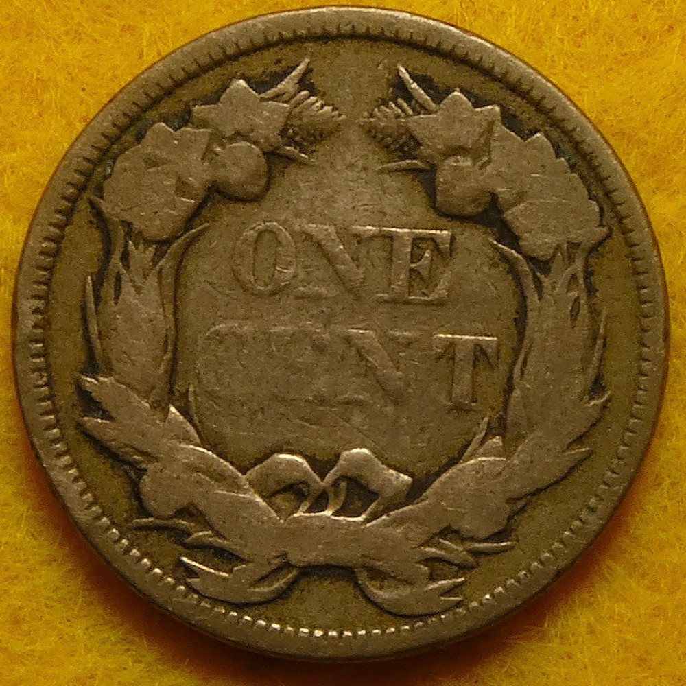 1857 Flying Eagle Cent with obverse lamination