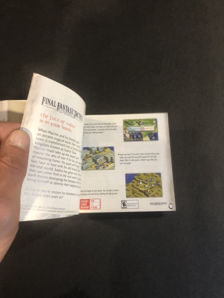 Nintendo gameboy advance journey is the beginning Insert