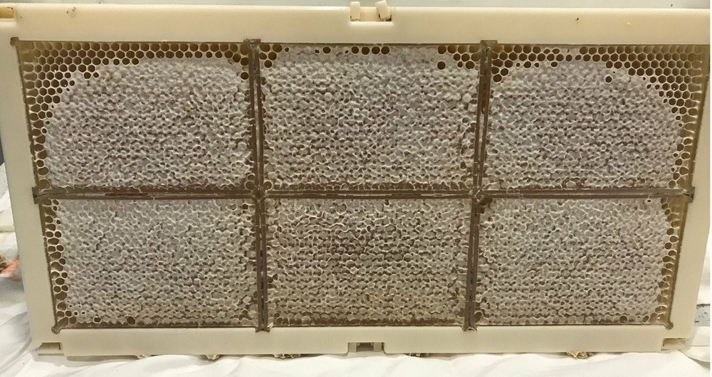 HONEYCOMB PLASTIC FRAMES WITH 6 HONEYCOMB BOXES