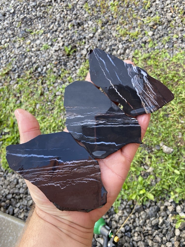 Zebra Jasper Slabs 3 Piece 7.8 Oz