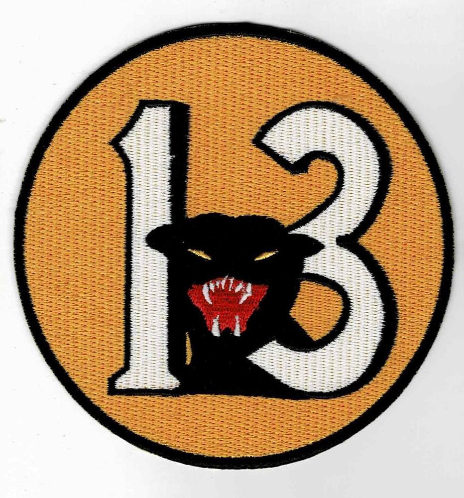 13th Fighter Squadron patch.