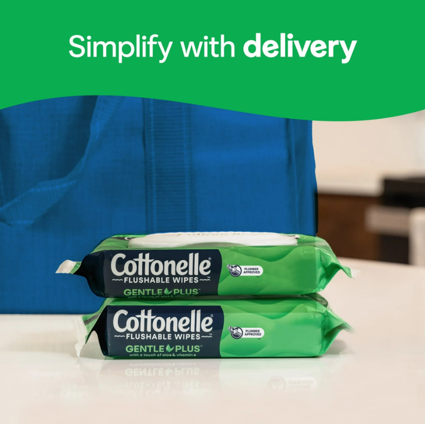 Gentle Plus Flushable Wet Wipes, 4 Flip-Top Packs