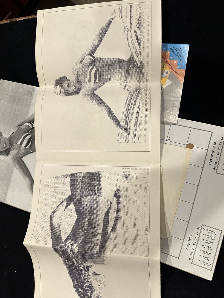 Swimware IBM/Tandy Floppy Disk