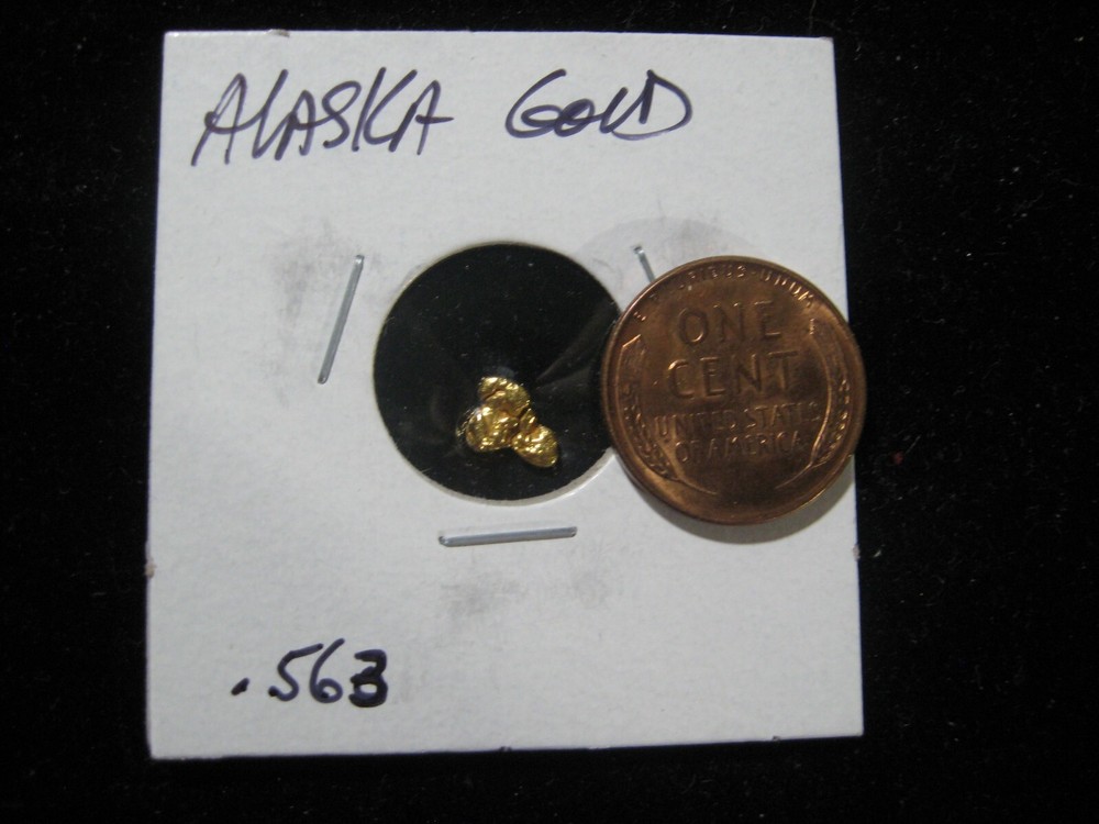 ALASKA GOLD NUGGET  .563 GRAMS