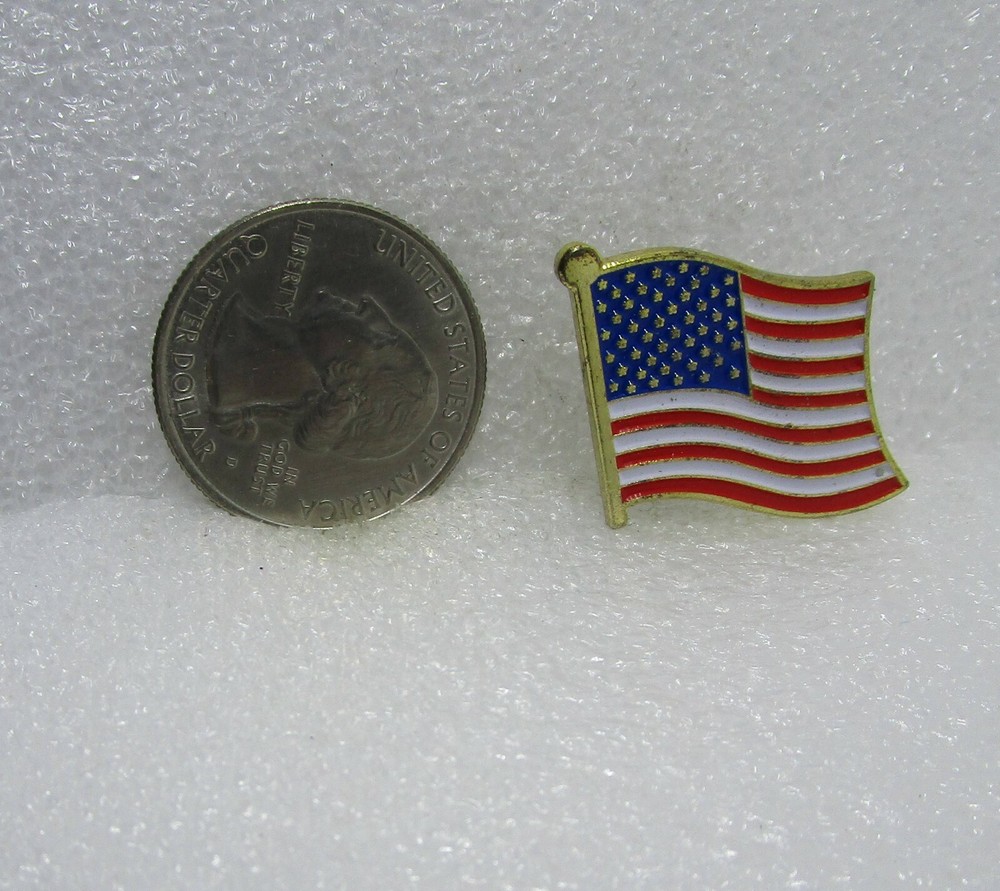 United States Flag Pin