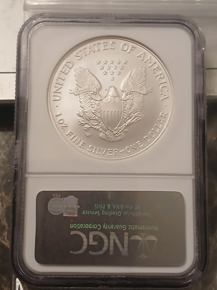 2007 W 1 oz American Silver Eagle Coin MS-70 Er Burnished Silver Eagle NGC