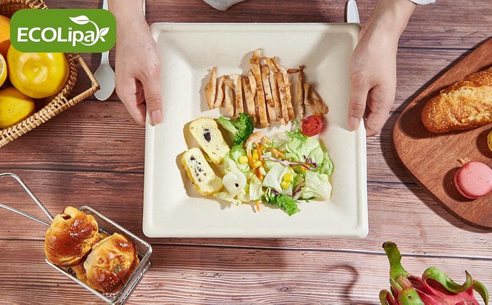 postable Square Paper Plates 6 inch Disposable, Eco-friendly