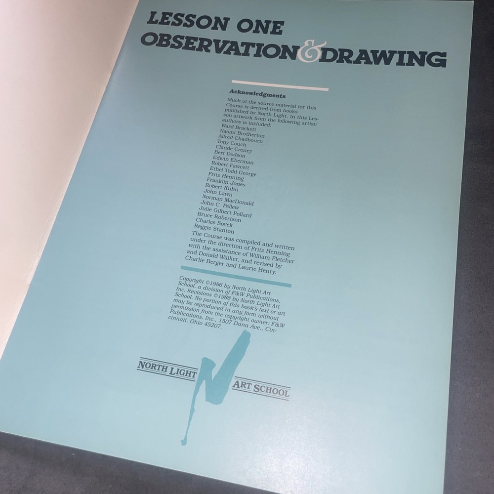 NORTH LIGHT Art School Lesson 1 OBSERVATION & DRAWING