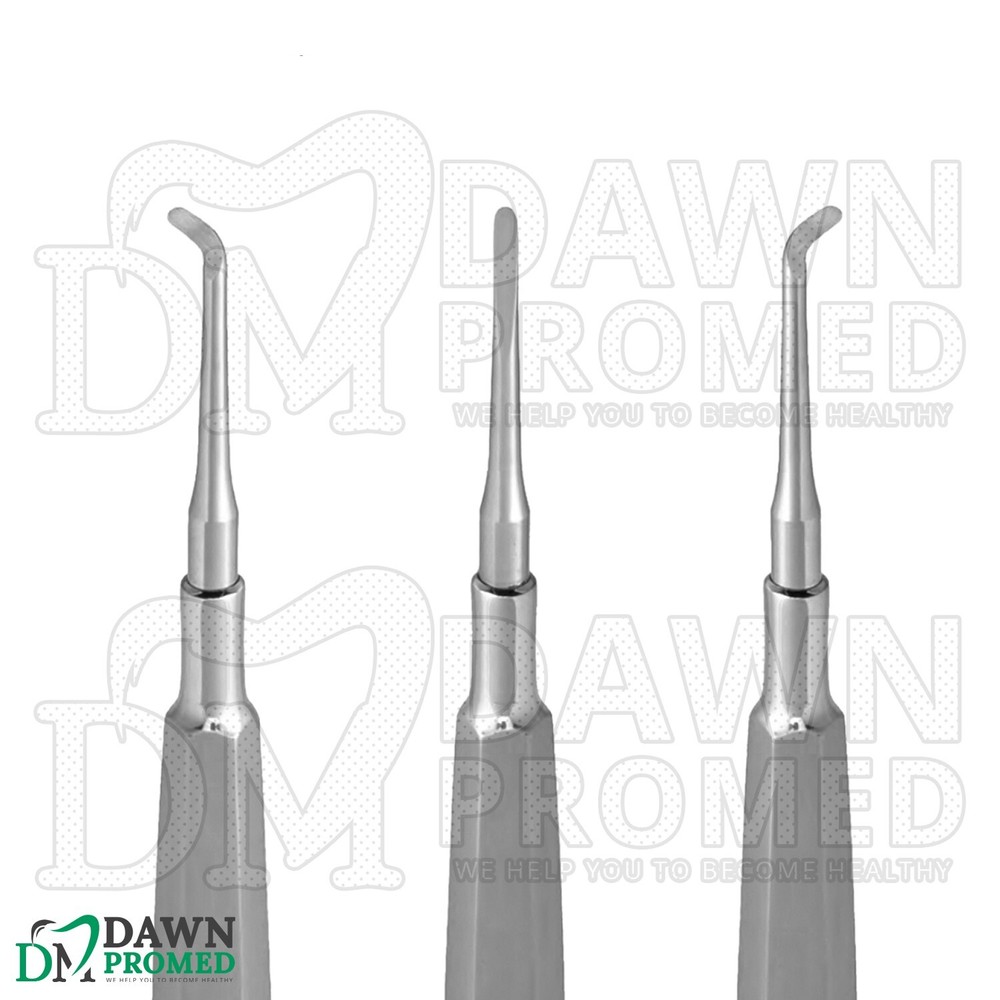 3 Pcs Warwick James Root Elevator Set Dental Luxating Root Elevators German Gr