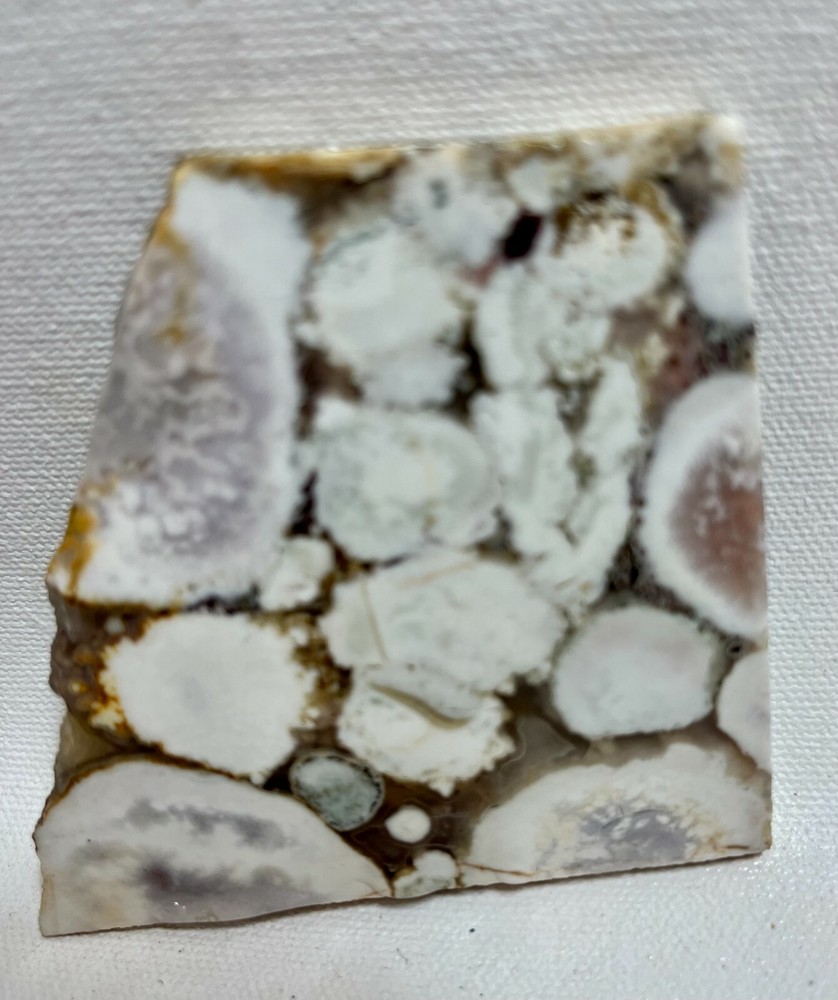 King Cobra Jasper Slab 77gm