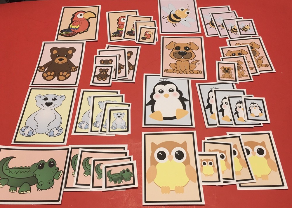 Laminated Sorting Cards - Size Sorting - 40 Cards Set