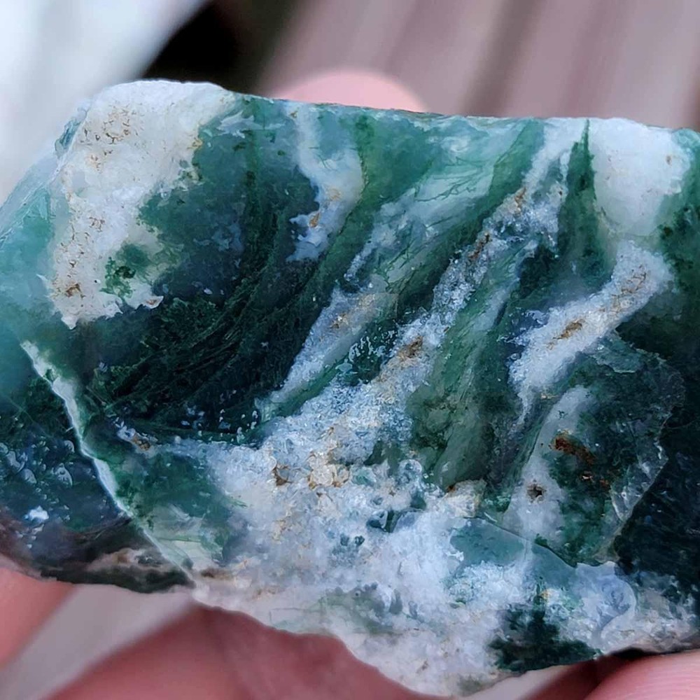 Random Pull India Tree Agate Tumbling Trimmer Rough!