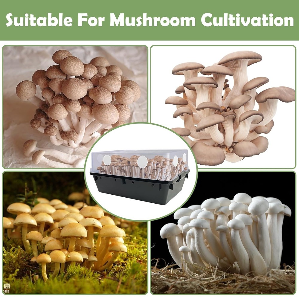 Efficient 2MM Thick Monotub Filter Discs - 24 Pack for Healthy Mushroom Growth
