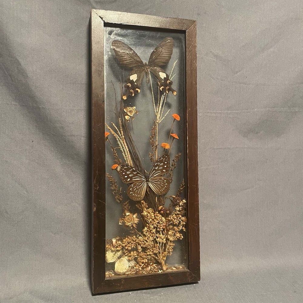 Autumn Butterfly Shadowbox With Fall Decor