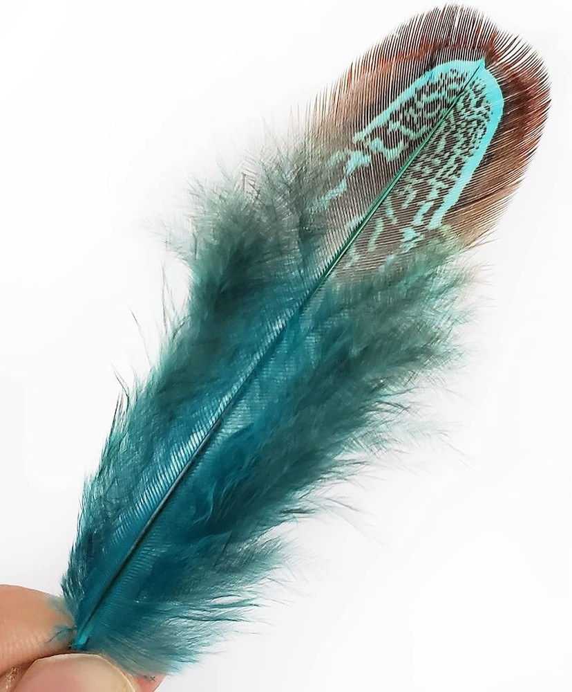 Natural Blue Pheasant Plumage Feathers 200pcs