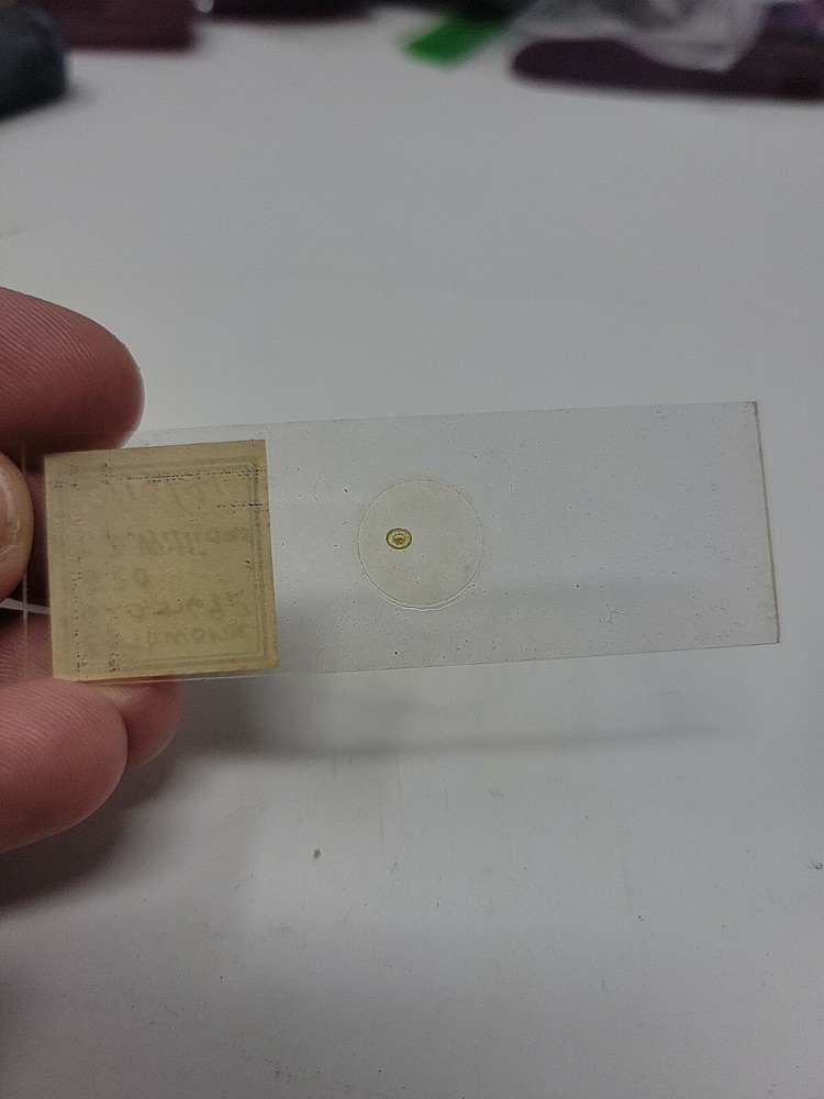 Vintage Microscope Slide 1941
