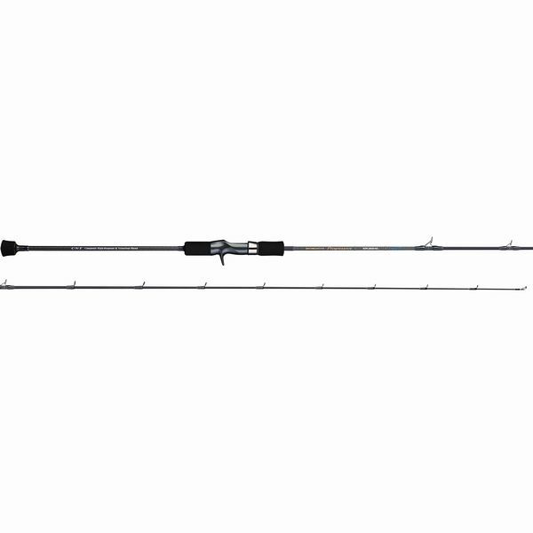 TENRYU HORIZON Progressive HPG66B-M Baitcasting Rod