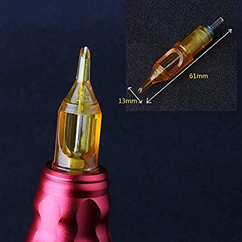 Pirate Face Tattoo (100) Mixed Assorted 100 Piece Assortment,