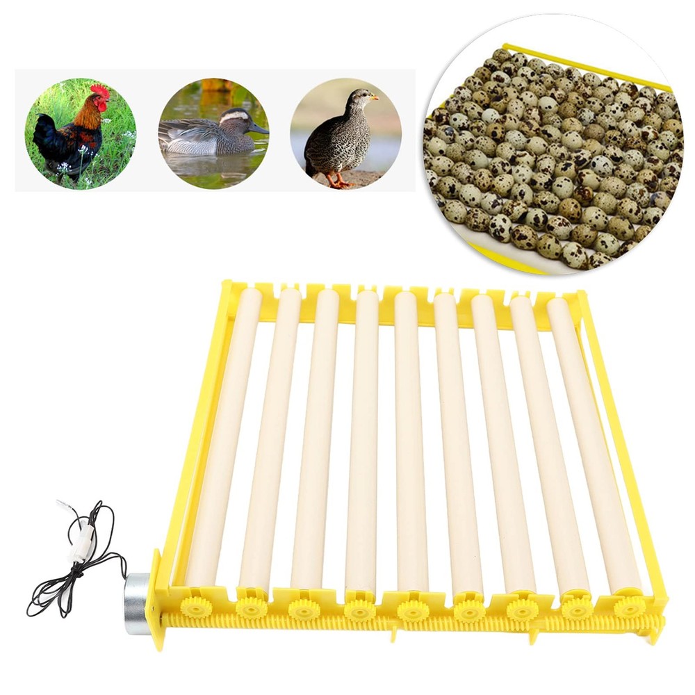 Fully Automatic Egg Incubation Tray,Household Egges Incubator Plate Automatic...