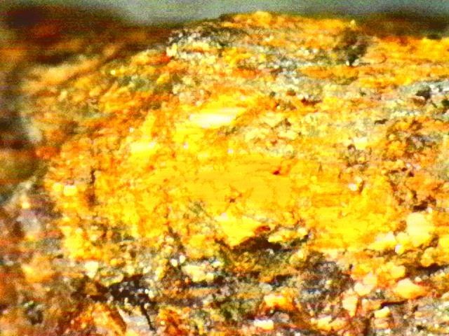 Gold Ore Specimen / Visible Gold