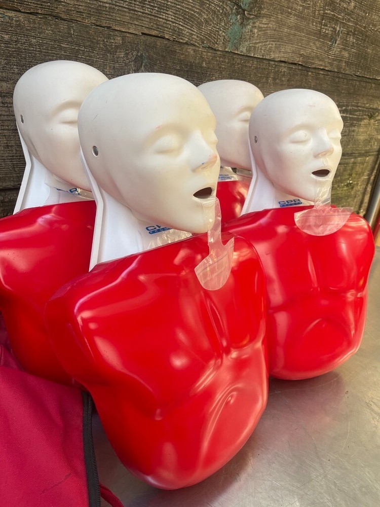 Life/Form Buddy Classroom Manikin 4 Adult/Child Basic Buddy Pack