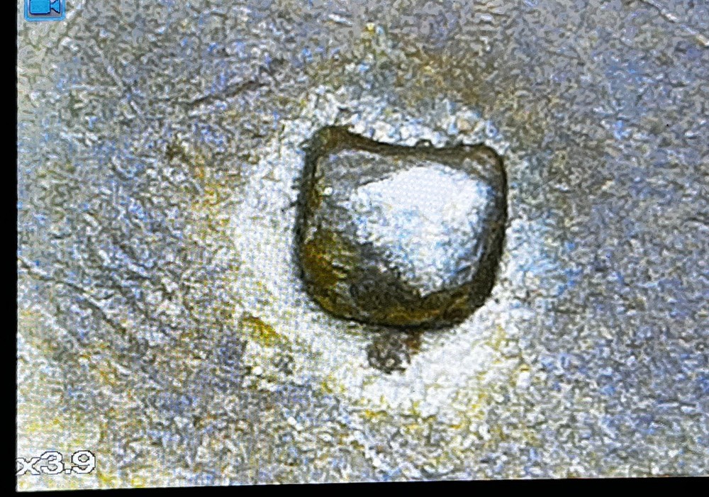 1979 Quarter Filled D Error, Stunning