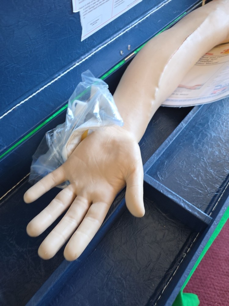 Nasco Life Form LF698 Phlebotomy IV Injection Training Arm