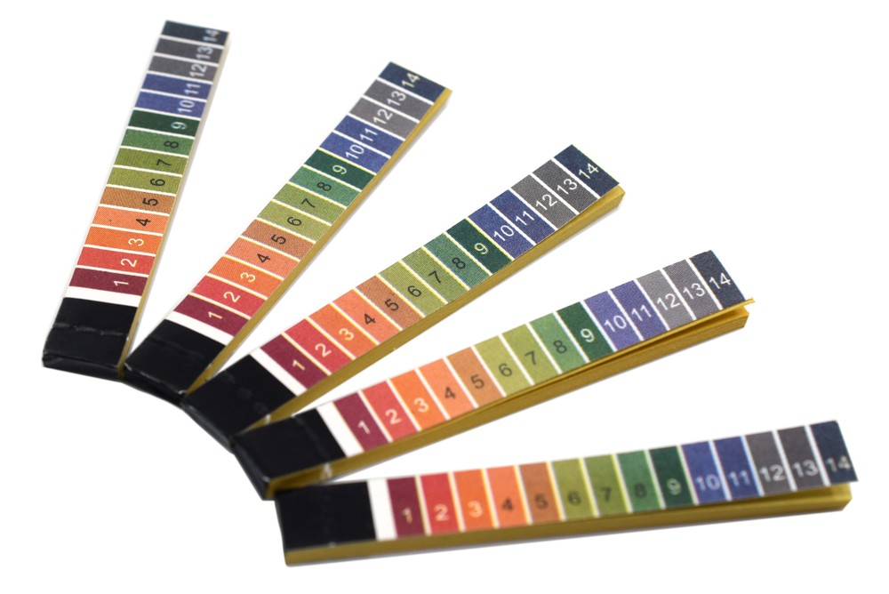 Eisco Labs pH Test Paper, 100 Strips - pH Range 1 to 14