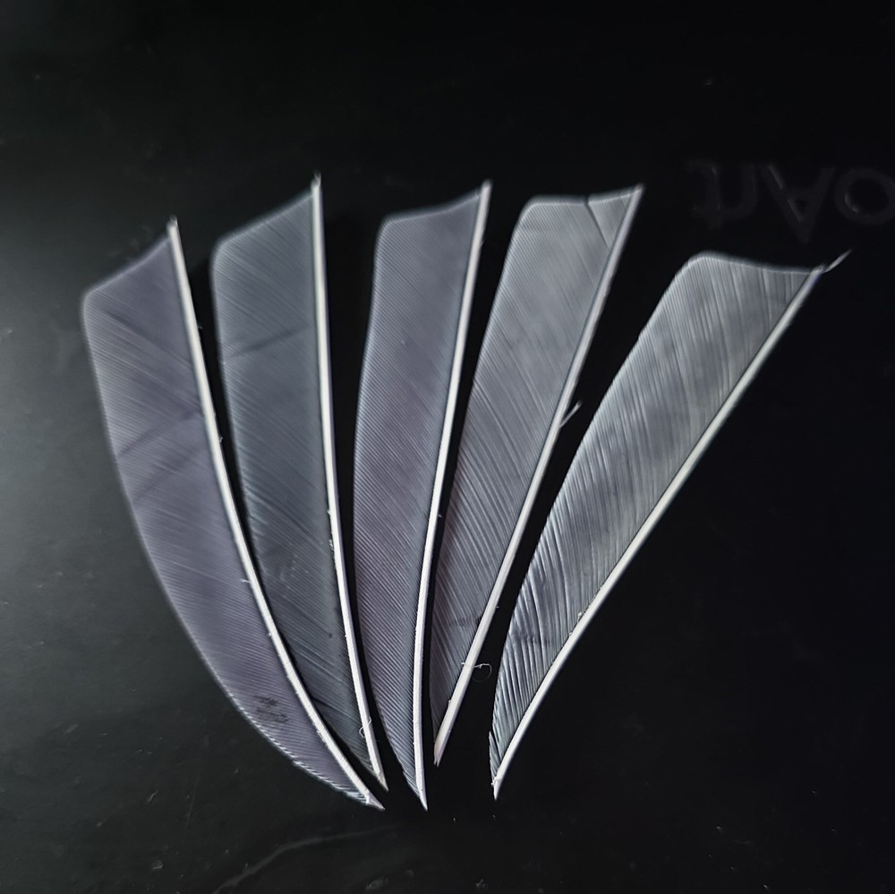 Trueflight Feathers 4 Inch shield Back Right Wing Grey Pkg Of 48