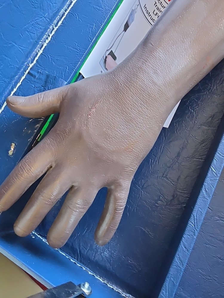 Nasco Life Form LF698 Phlebotomy IV Injection Training Arm