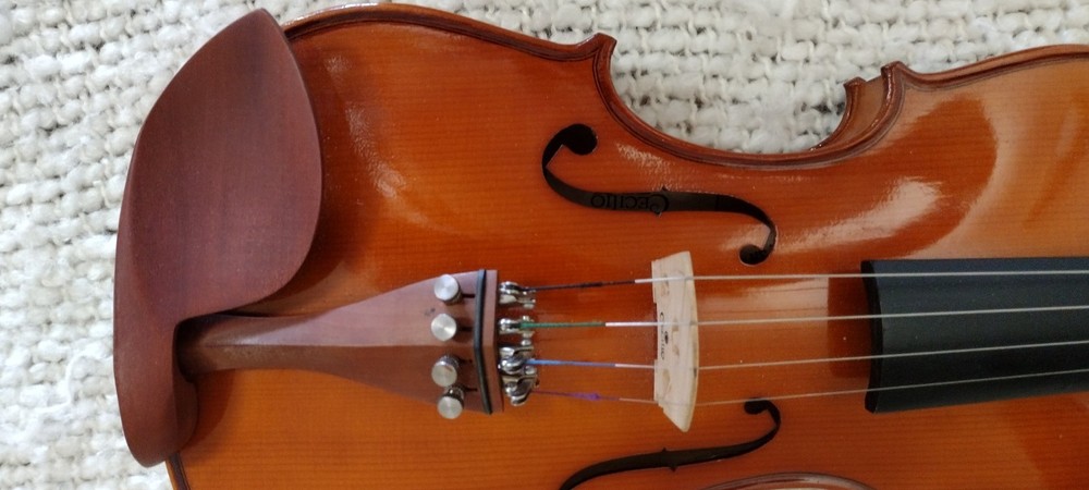Cecilio Violin 4/4 CVN - 200 + Bow, Bridge, Shoulder Rest, Strings, Rosin & Pipe